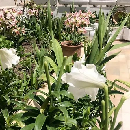 Castle View House Naxos City