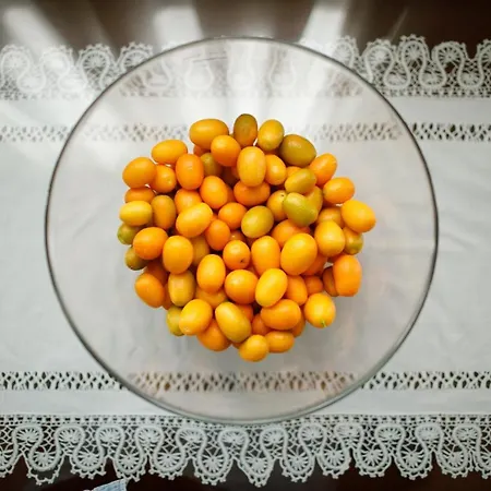 Lejlighed Castle View House *