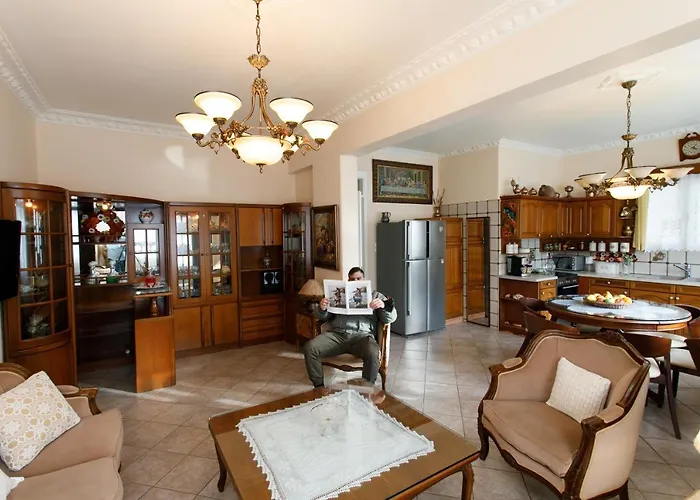 Castle View House 公寓 Naxos City