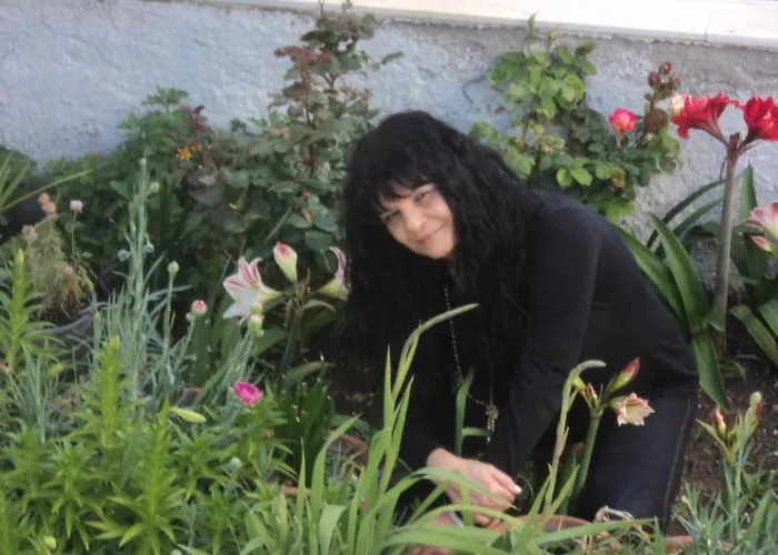 公寓 Castle View House *